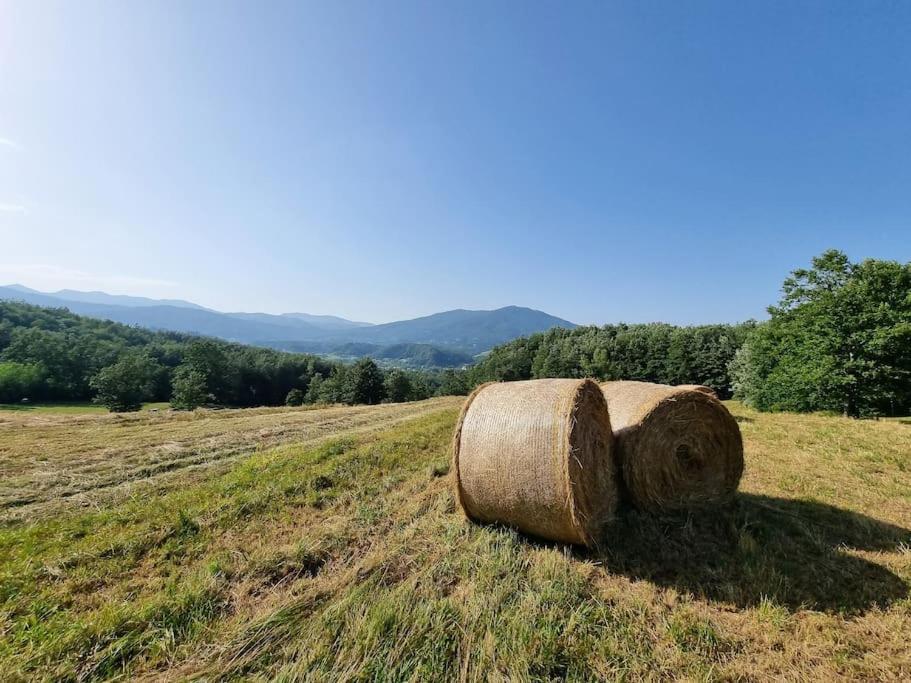 Oasi Di Pace Nella Val Di Taro Compiano