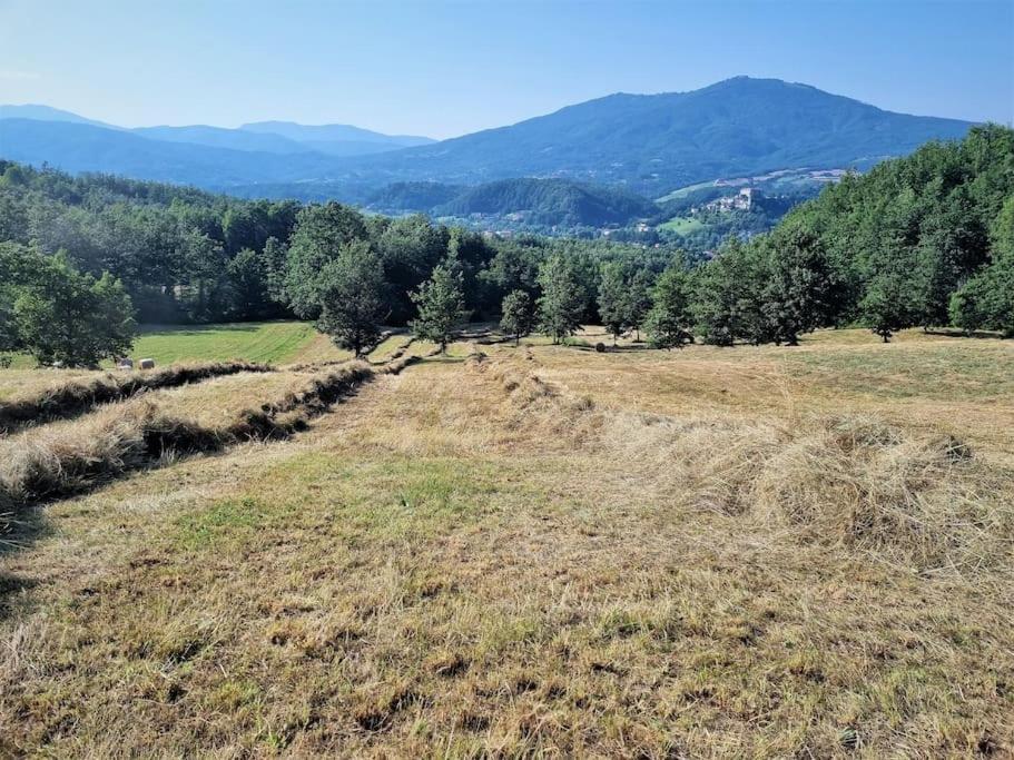 Oasi Di Pace Nella Val Di Taro Apartment *