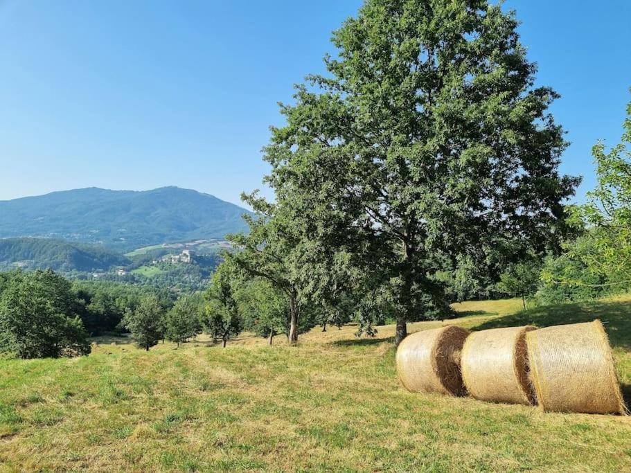 Oasi Di Pace Nella Val Di Taro *